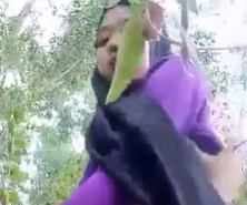 Pacaran Seminggu Udah Ngewe Di Kebun